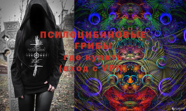 MDMA Инсар